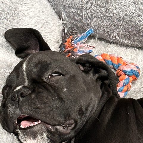 Cooper
