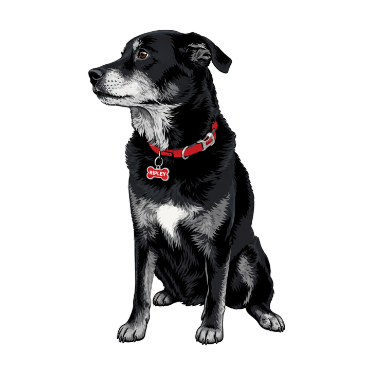 Ripley die-cut sticker — sitting, red collar, RIPLEY tag